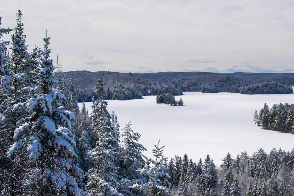 Snowy trees and lake in Algonquin Park, one of the best places to visit in Ontario in winter.